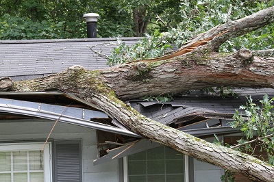 Wind and Storm Damage